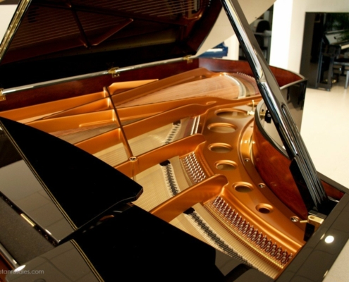 Bosendorfer 225-I photo