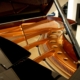 Bosendorfer 225-I photo