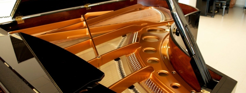 Bosendorfer 225-I photo