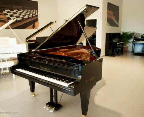 Bosendorfer 225-II photo