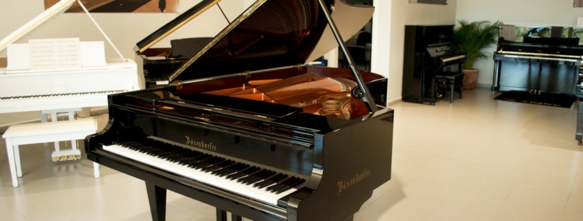 Bosendorfer 225-II photo