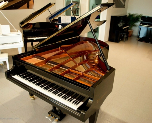 Bosendorfer 225-III photo