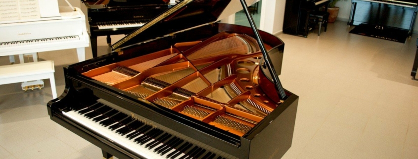 Bosendorfer 225-III photo