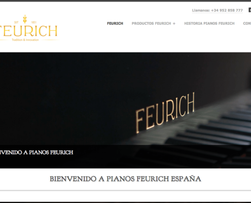 pianos feurich