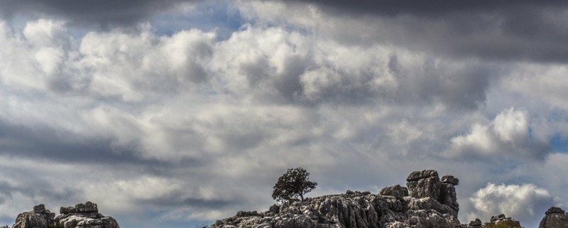 Alone in the storm photography nature