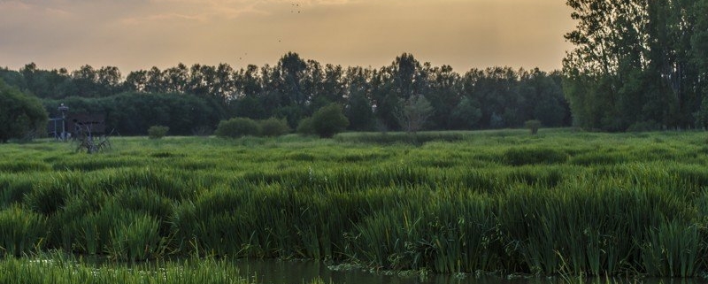 Salburua Wetlands Sunset II
