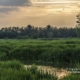 Salburua Wetlands Sunset II