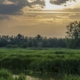 Salburua Wetlands Sunset