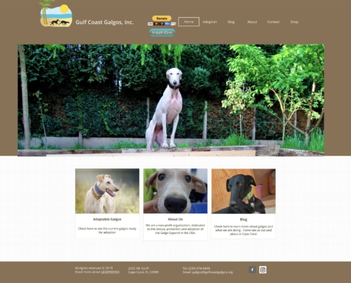 gulf coast galgos