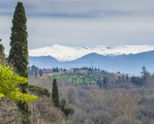 Sierra Nevada - Granada